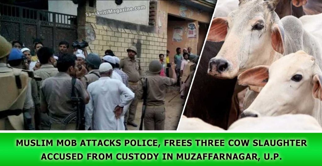 Muslim-Mob-attacks-police,-frees-three-cow-slaughter