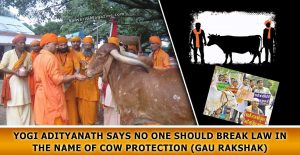 Yogi-Adityanath-says-no-one-should-break-law-in-the-name-of-cow-protection-(Gau-Rakshak)