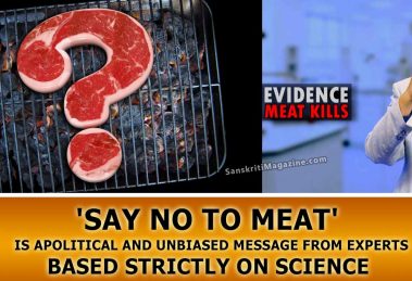 'Say no to meat' documentary - is apolitical and unbiased message from experts based strictly on science