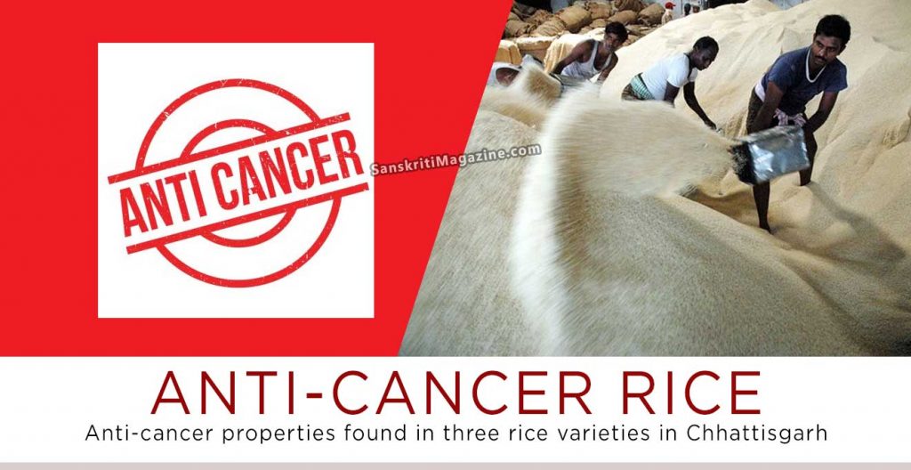 Anti-cancer properties found in three rice varieties in Chhattisgarh