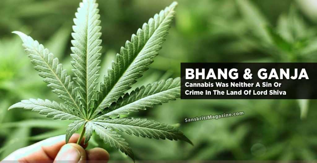 Cannabis-Was-Neither-A-Sin-Or-Crime-In-The-Land-Of-Lord-Shiva