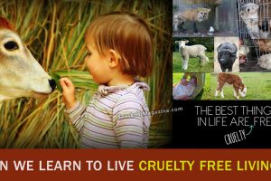 Cruelty-Free-Living