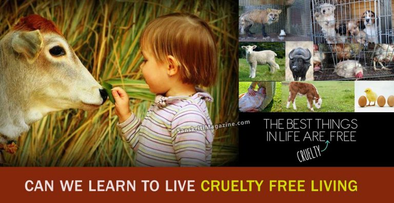 Cruelty-Free-Living