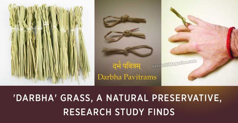 'Darbha'-grass,-a-natural-preservative,-finds-Research-study
