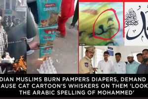 Indian-Muslims-burn-Pampers-Diapers