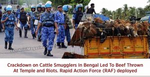 Crackdown-on-Muslim-Cattle-Smugglers-In-Bengal-Led-To-Beef-Thrown-At-Temple-and-Riots