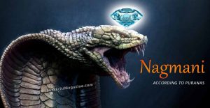 Sri Naga Mani – The Cobra Pearls according to Puranas