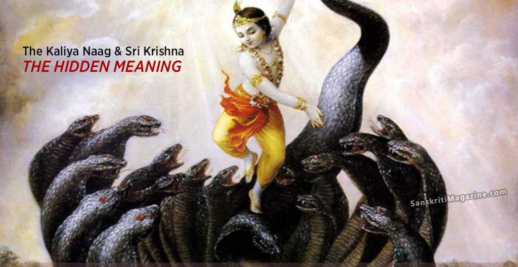 The Kaliya Naag and Sri Krishna – The Hidden Meaning | Sanskriti - Hinduism  and Indian Culture Website
