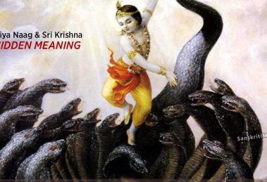 The-Kaliya-Naag-and-Sri-Krishna-–-The-Hidden-Meaning
