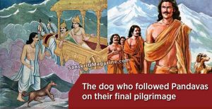 The-dog-who-followed-the-Pandavas-on-their-final-pilgrimage