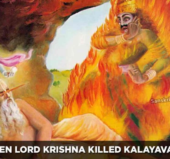 When-Lord-Krishna-Killed-Kalayavana